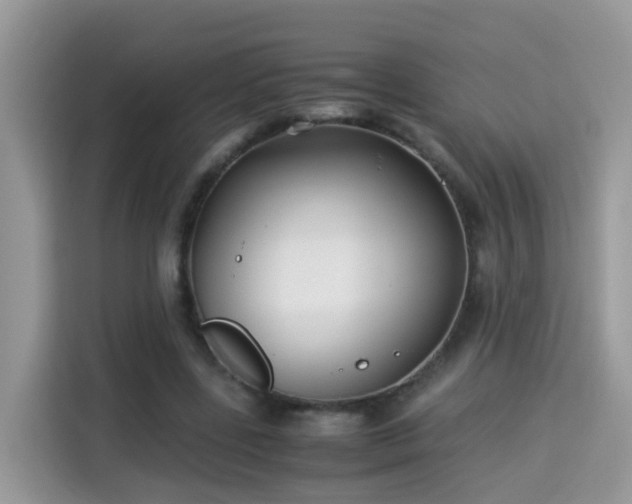 X0000115310539200911091139