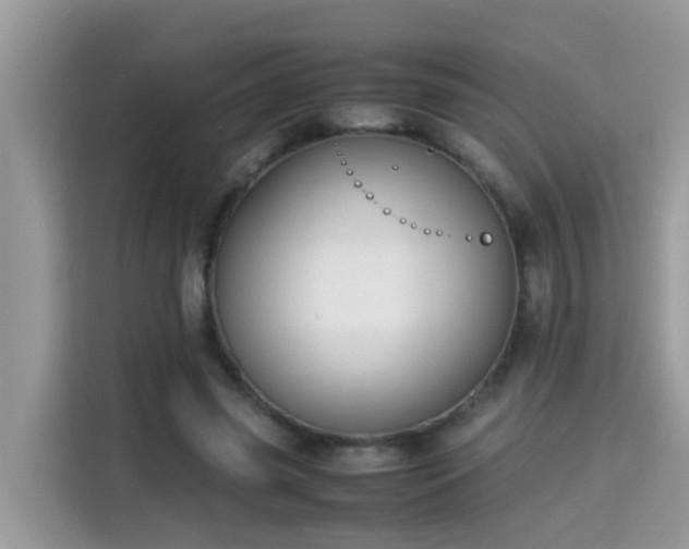X0000115310541200911091139
