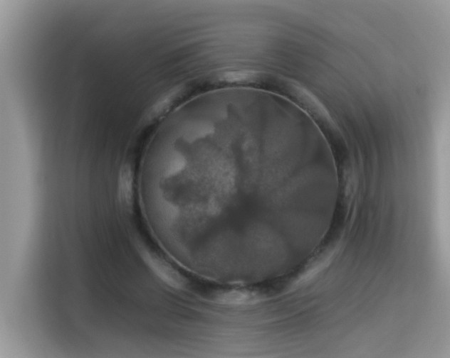 X0000115310542200911091139