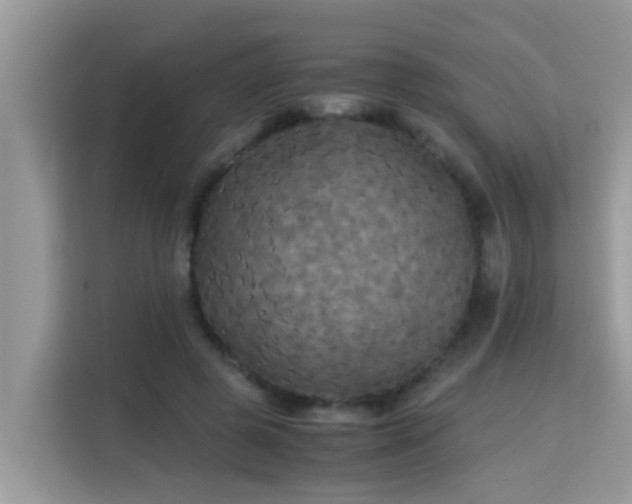 X0000115310545200911091139