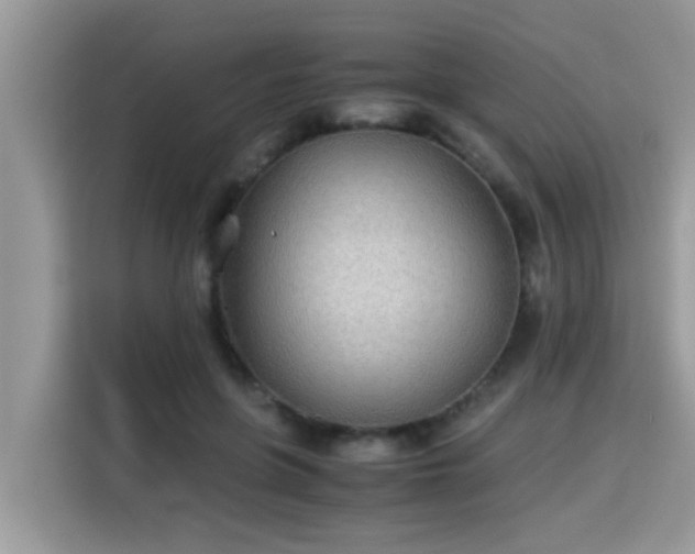 X0000115310551200911091139