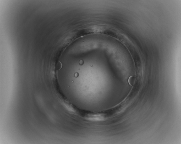 X0000115310553200911091139