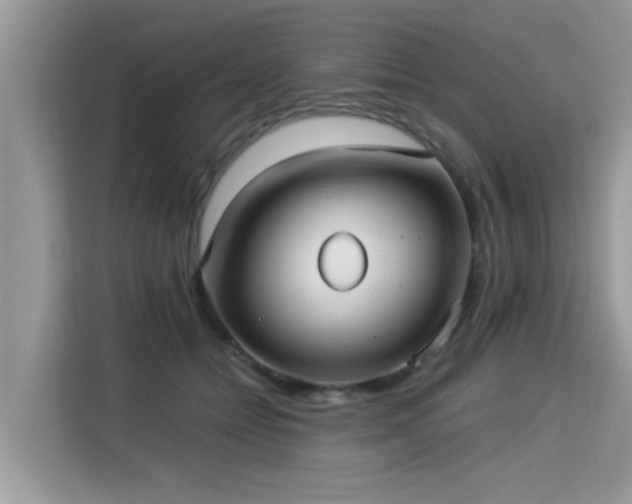 X0000115310558200911091139