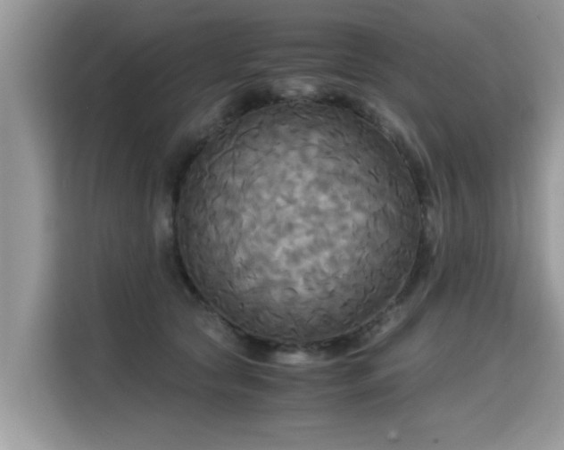 X0000115310561200911091139