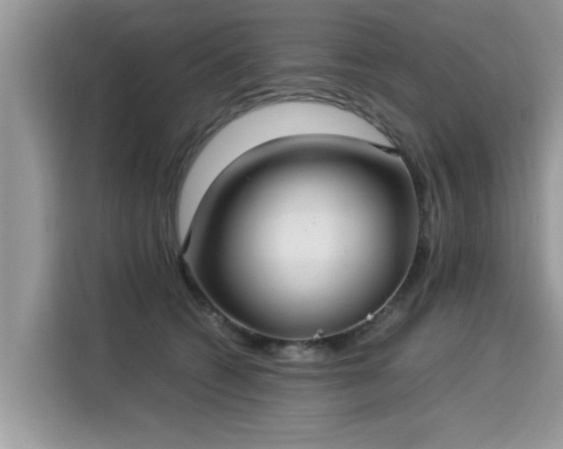 X0000115310562200911091139
