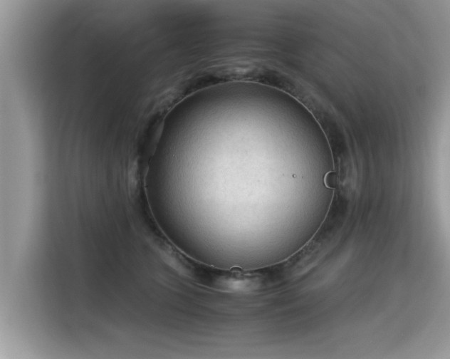 X0000115310563200911091139