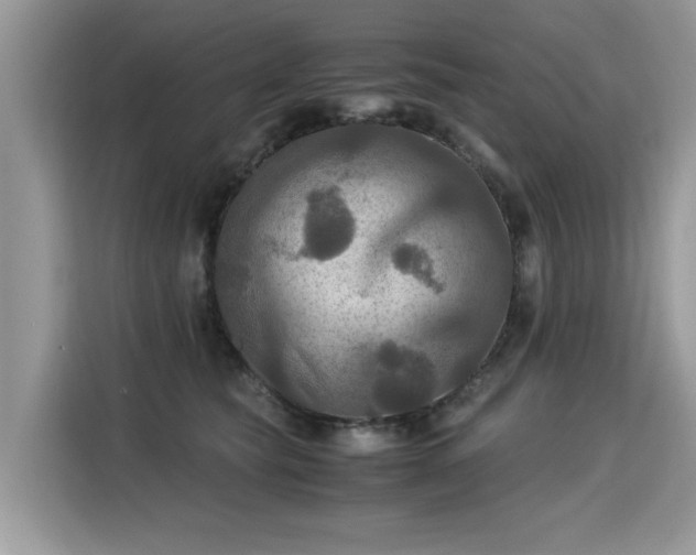 X0000115310565200911091139