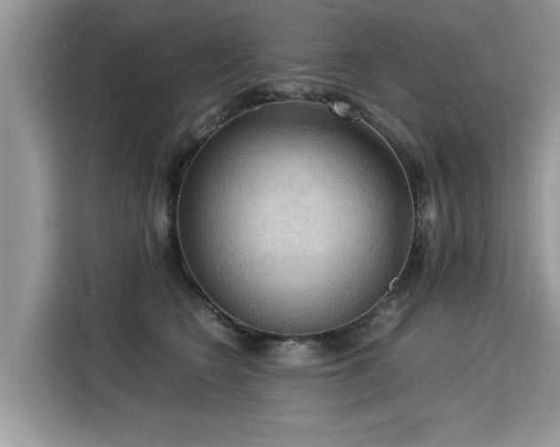 X0000115310566200911091139