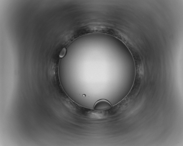 X0000115310567200911091139