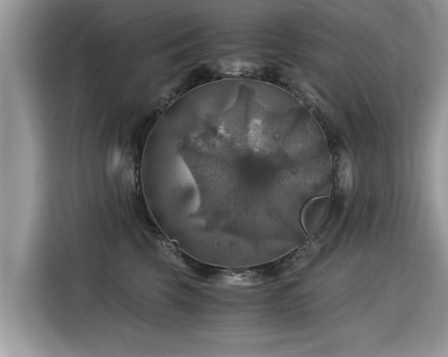 X0000115310569200911091139