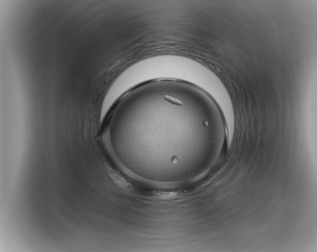 X0000115310570200911091139