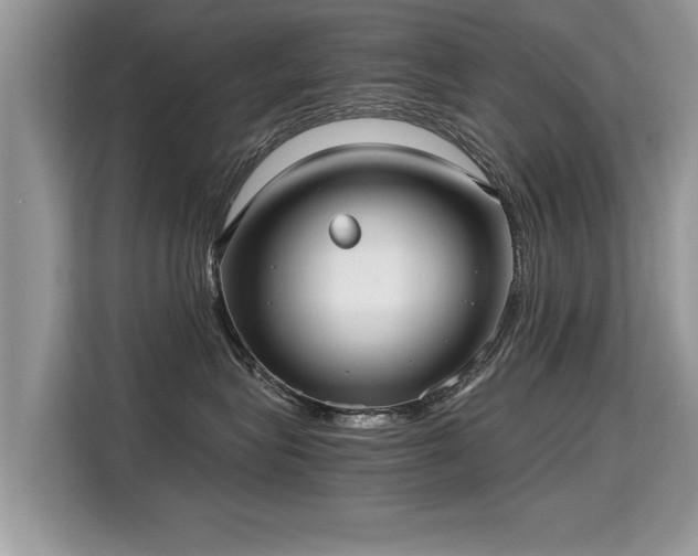 X0000115310575200911091139