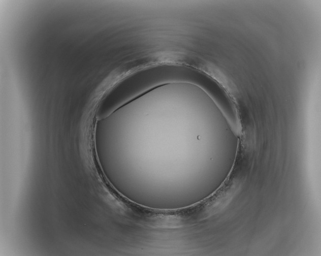 X0000115310577200911091139