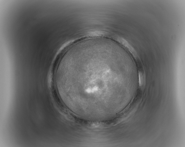 X0000115310579200911091139