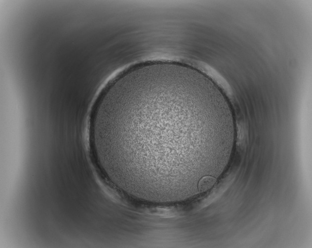 X0000115310580200911091139