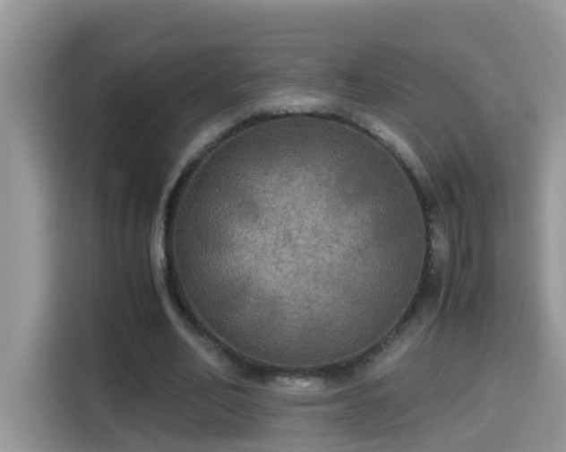 X0000115310582200911091138