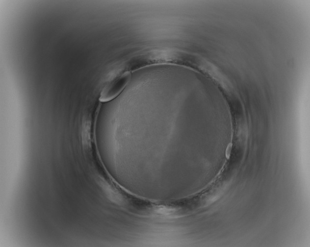 X0000115310585200911091138