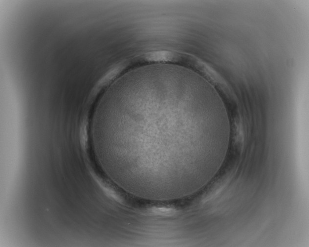 X0000115310586200911091138