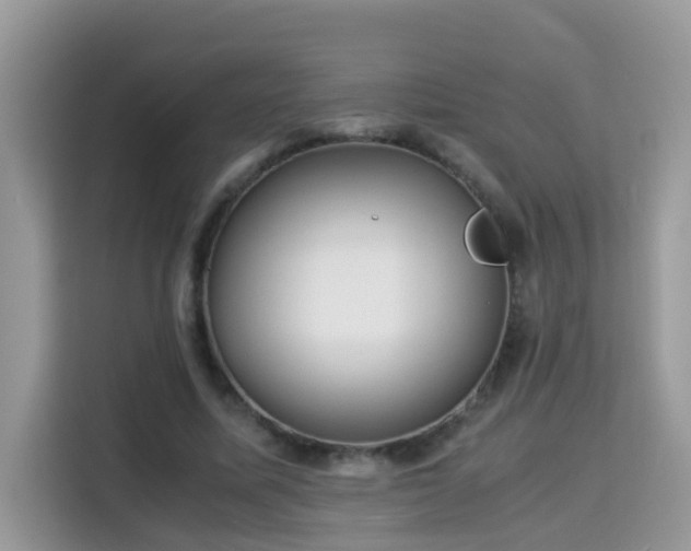 X0000115310587200911091138
