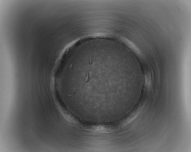 X0000115310588200911091138