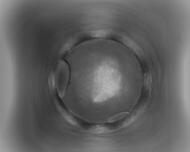X0000115310589200911091138
