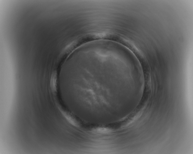 X0000115310590200911091138