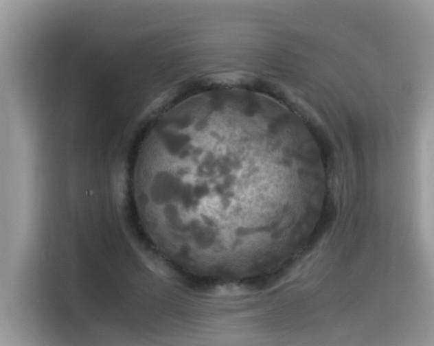 X0000115310591200911091138