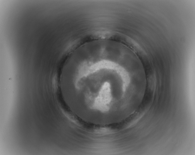 X0000115310594200911091138