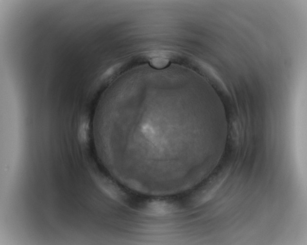 X0000115310596200911091138