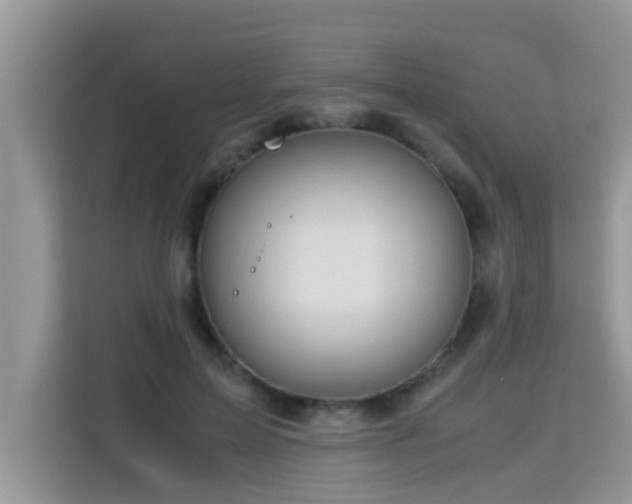 X0000115310599200911091138