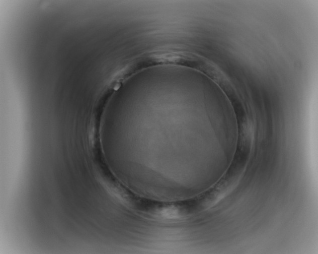 X0000115310600200911091138