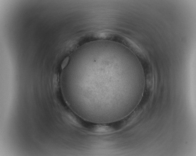 X0000115310605200911091138