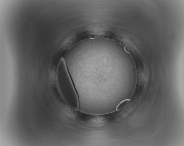 X0000115310609200911091138