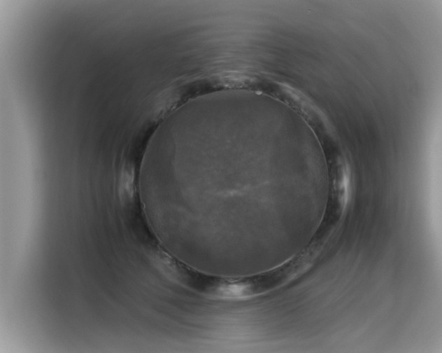 X0000115310610200911091138