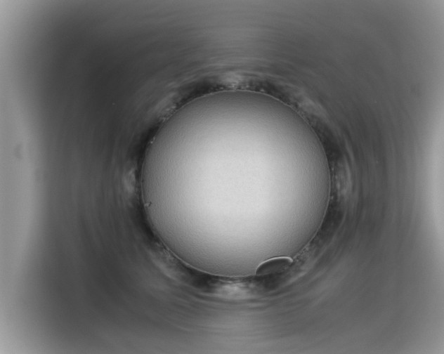 X0000115310611200911091138