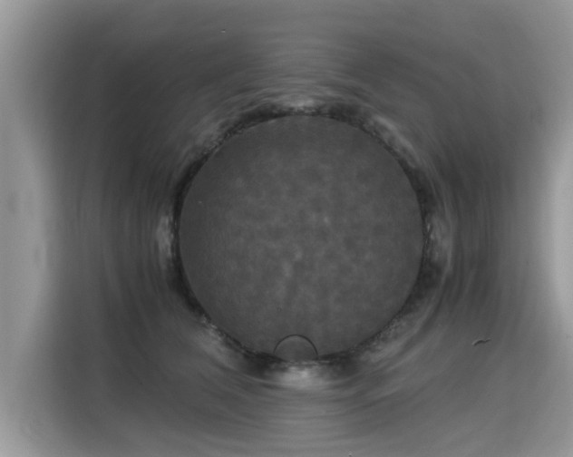 X0000115310612200911091138