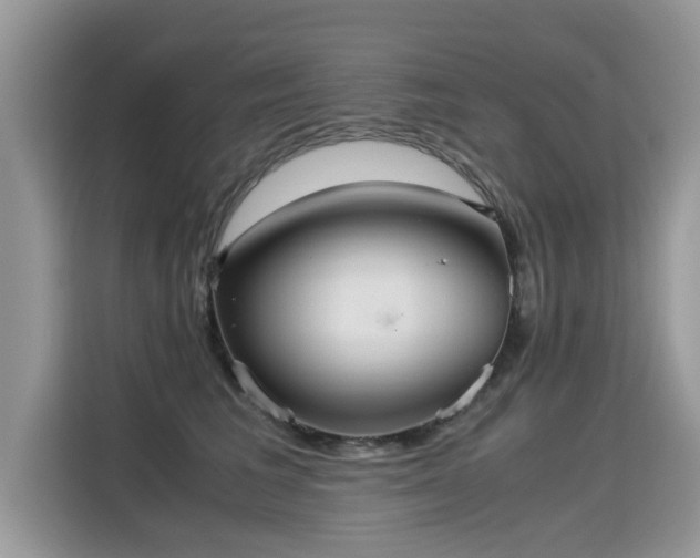 X0000115310613200911091138