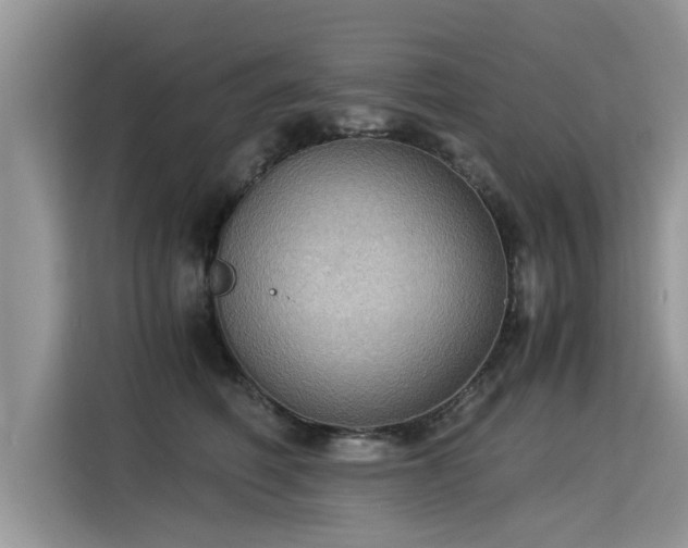 X0000115310614200911091138