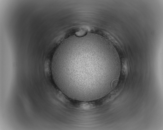 X0000115310616200911091138