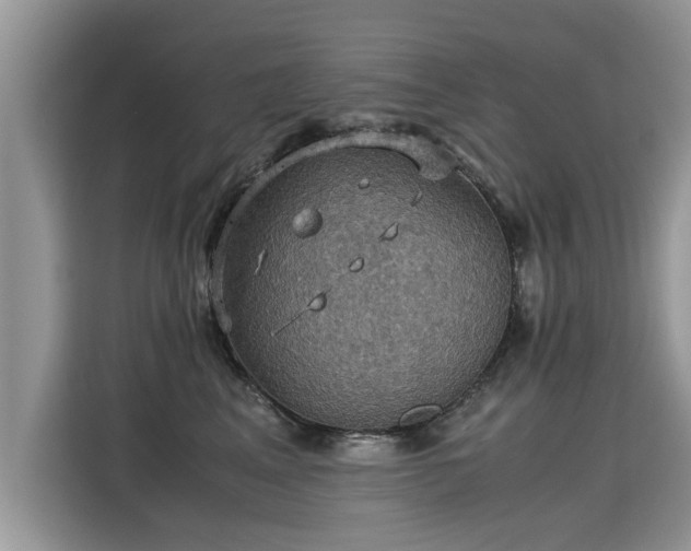 X0000115310617200911091138
