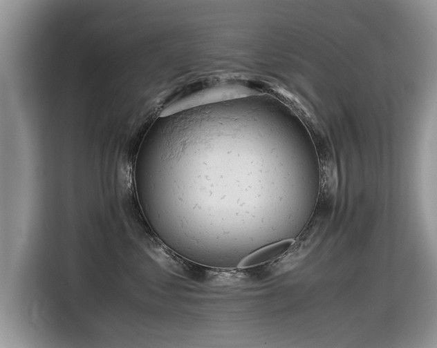 X0000115310621200911091138