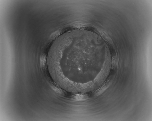 X0000115310623200911091138