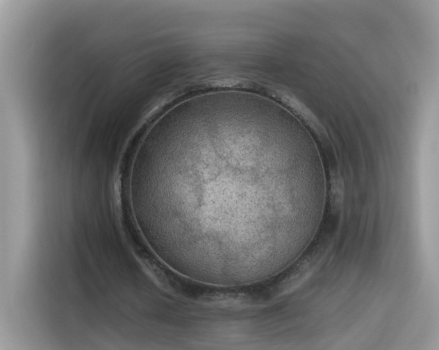 X0000115310626200911091137