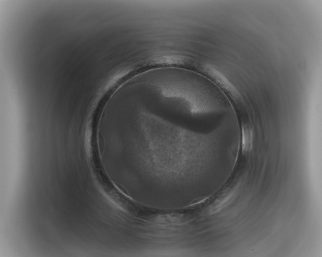 X0000115310627200911091137
