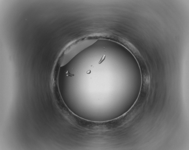 X0000115310628200911091137