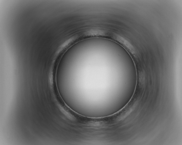 X0000115310629200911091137