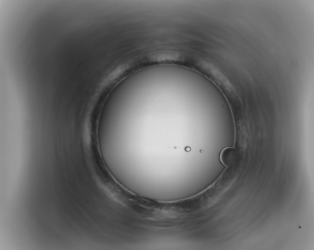 X0000115310631200911091137
