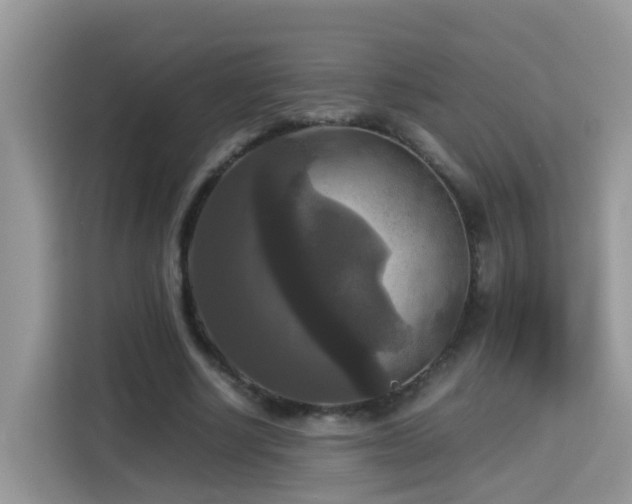 X0000115310634200911091137