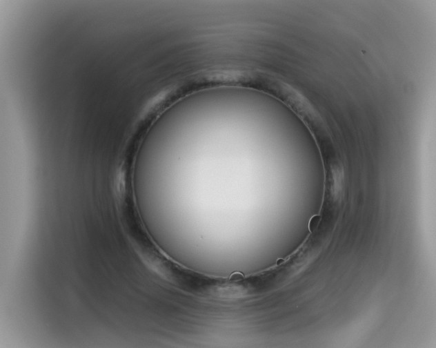 X0000115310636200911091137