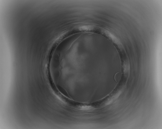 X0000115310637200911091137
